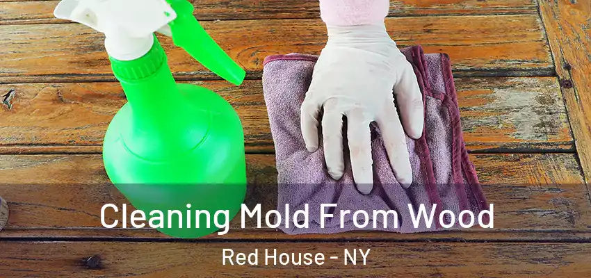  Cleaning Mold From Wood Red House - NY