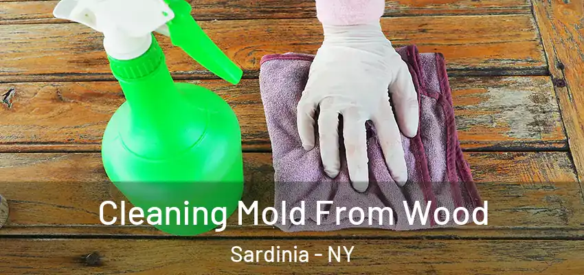  Cleaning Mold From Wood Sardinia - NY