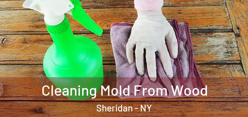  Cleaning Mold From Wood Sheridan - NY