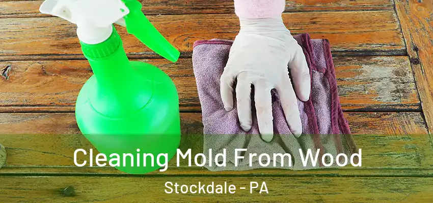  Cleaning Mold From Wood Stockdale - PA