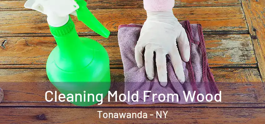  Cleaning Mold From Wood Tonawanda - NY