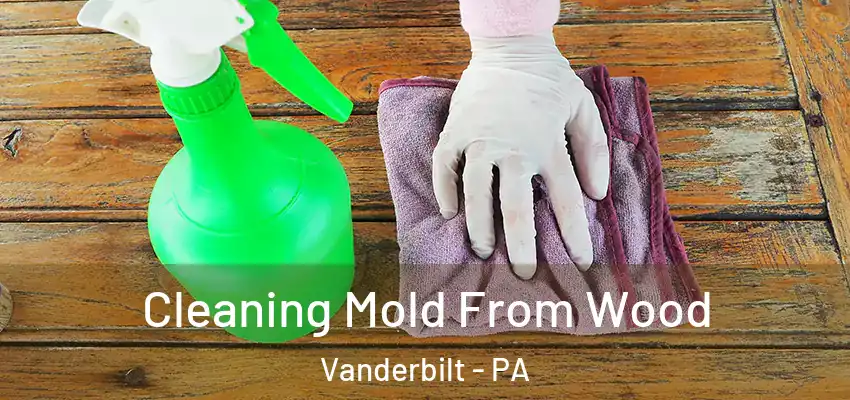  Cleaning Mold From Wood Vanderbilt - PA