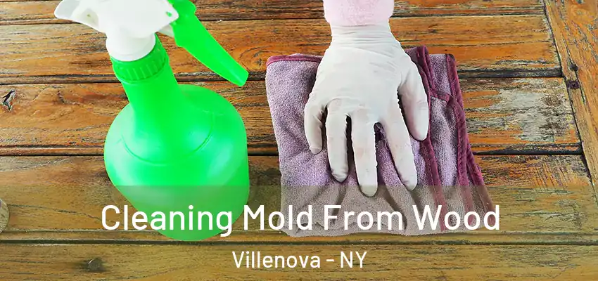 Cleaning Mold From Wood Villenova - NY