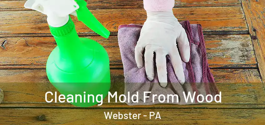  Cleaning Mold From Wood Webster - PA