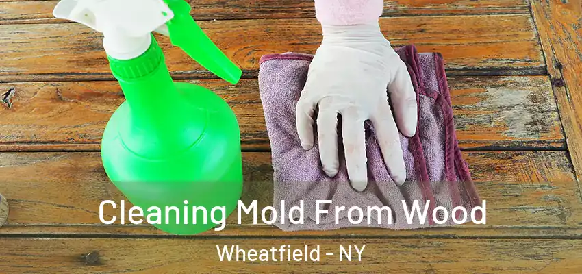  Cleaning Mold From Wood Wheatfield - NY