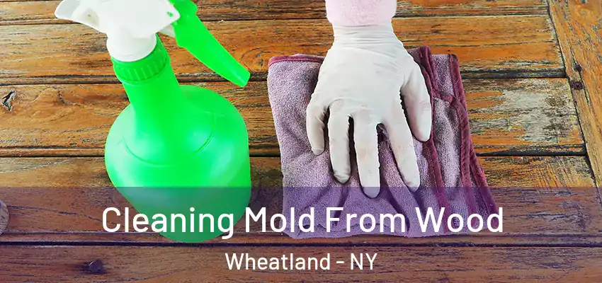  Cleaning Mold From Wood Wheatland - NY