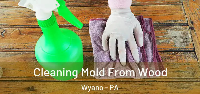  Cleaning Mold From Wood Wyano - PA
