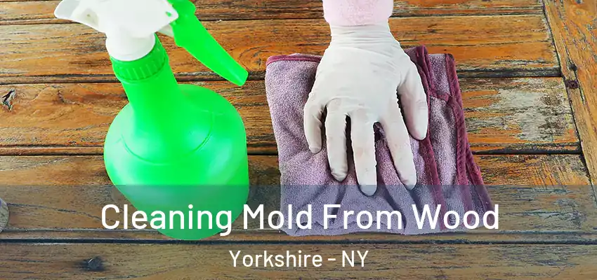  Cleaning Mold From Wood Yorkshire - NY
