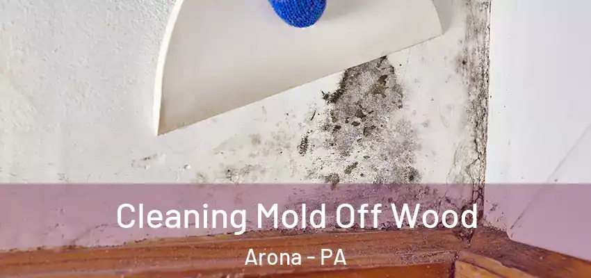  Cleaning Mold Off Wood Arona - PA