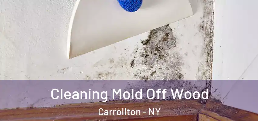 Cleaning Mold Off Wood Carrollton - NY