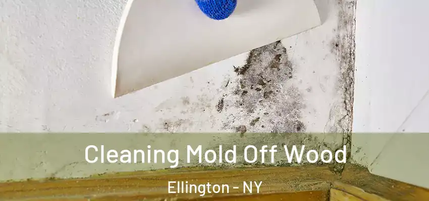  Cleaning Mold Off Wood Ellington - NY