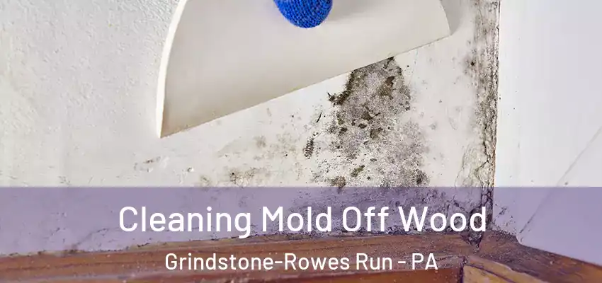  Cleaning Mold Off Wood Grindstone-Rowes Run - PA