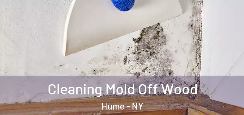  Cleaning Mold Off Wood Hume - NY