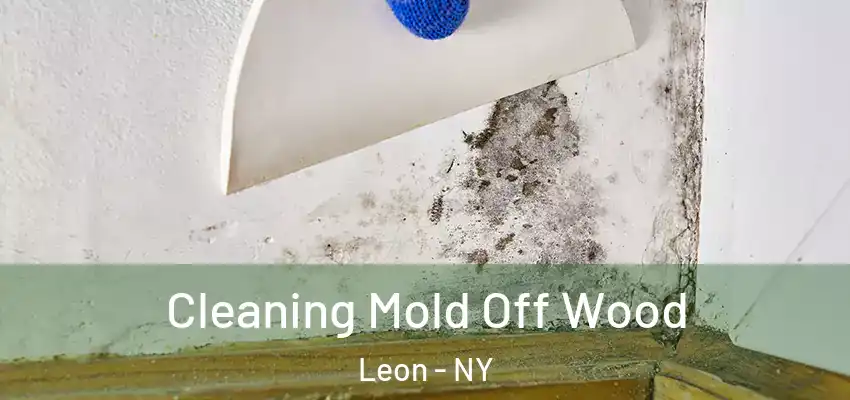  Cleaning Mold Off Wood Leon - NY