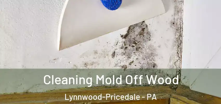  Cleaning Mold Off Wood Lynnwood-Pricedale - PA