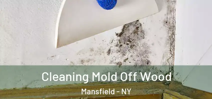  Cleaning Mold Off Wood Mansfield - NY