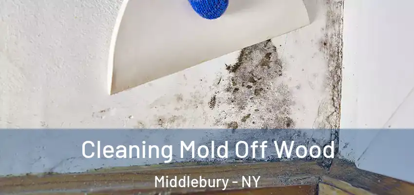  Cleaning Mold Off Wood Middlebury - NY