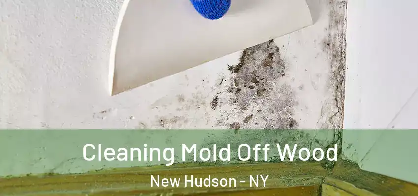  Cleaning Mold Off Wood New Hudson - NY