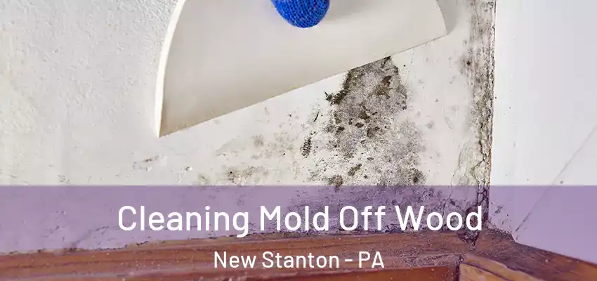  Cleaning Mold Off Wood New Stanton - PA