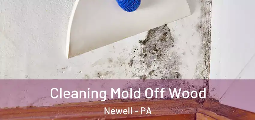  Cleaning Mold Off Wood Newell - PA