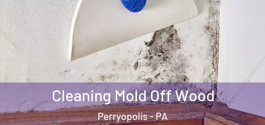  Cleaning Mold Off Wood Perryopolis - PA
