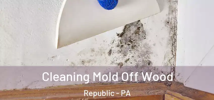  Cleaning Mold Off Wood Republic - PA