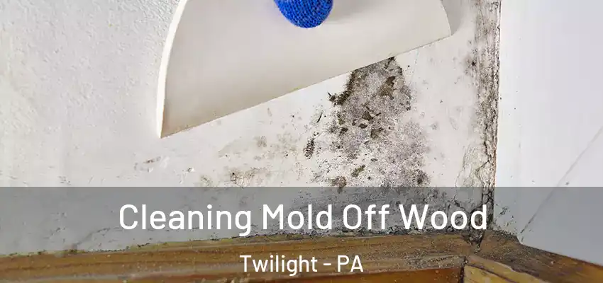  Cleaning Mold Off Wood Twilight - PA