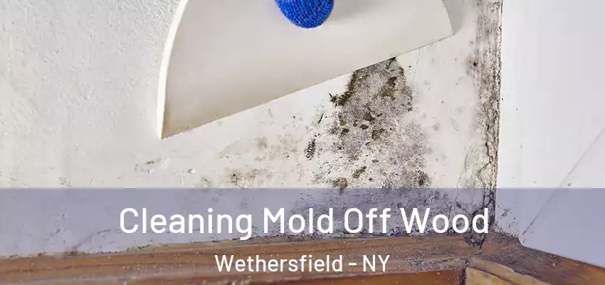  Cleaning Mold Off Wood Wethersfield - NY