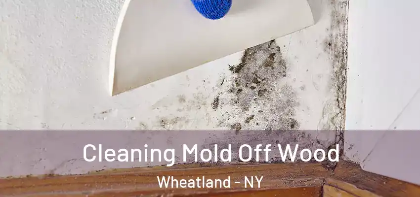  Cleaning Mold Off Wood Wheatland - NY