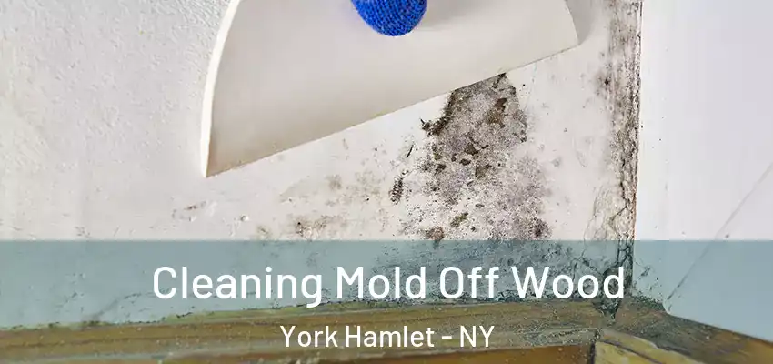  Cleaning Mold Off Wood York Hamlet - NY