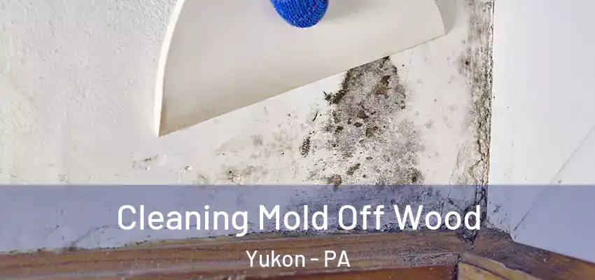 Cleaning Mold Off Wood Yukon - PA