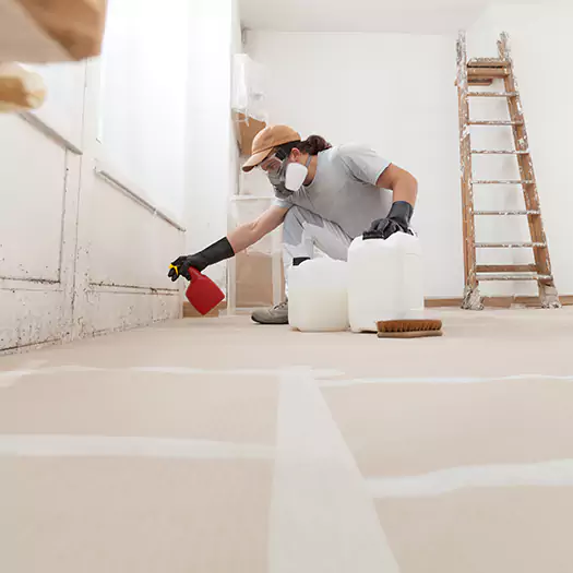 Reliable Mold Stain Remover Specialists in Batavia, NY