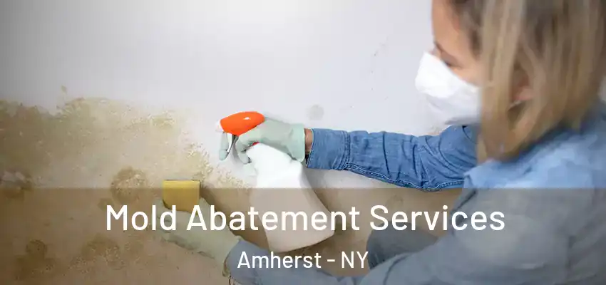  Mold Abatement Services Amherst - NY