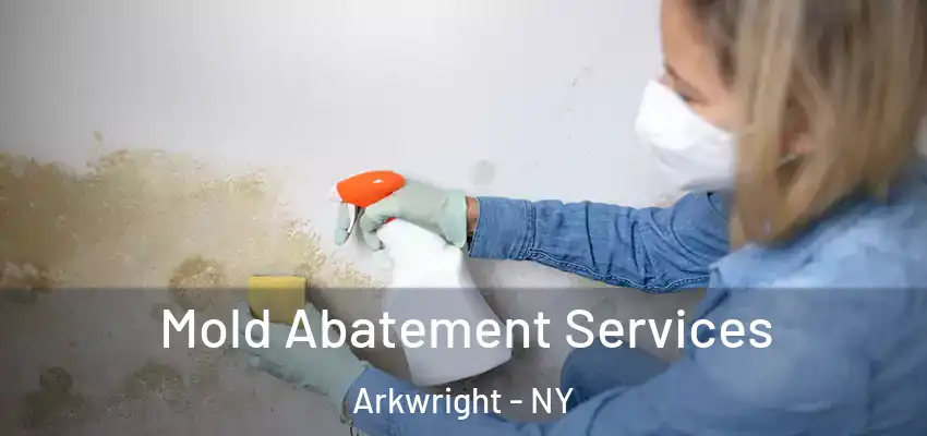  Mold Abatement Services Arkwright - NY