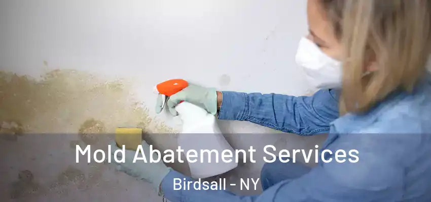  Mold Abatement Services Birdsall - NY