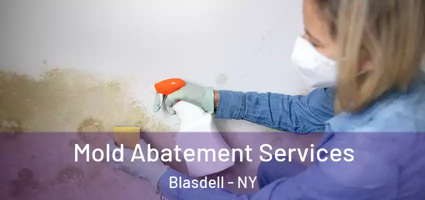  Mold Abatement Services Blasdell - NY