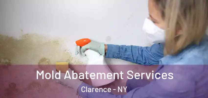  Mold Abatement Services Clarence - NY