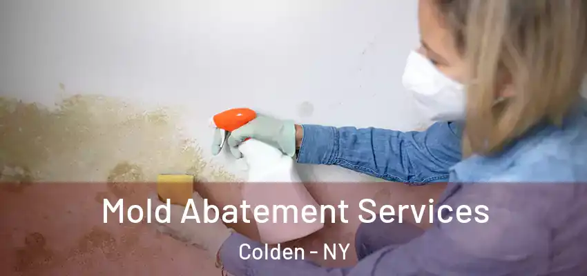  Mold Abatement Services Colden - NY