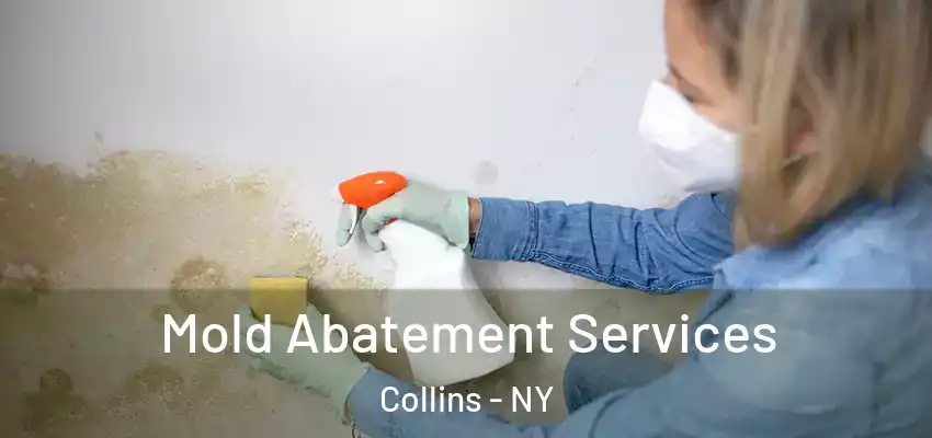  Mold Abatement Services Collins - NY