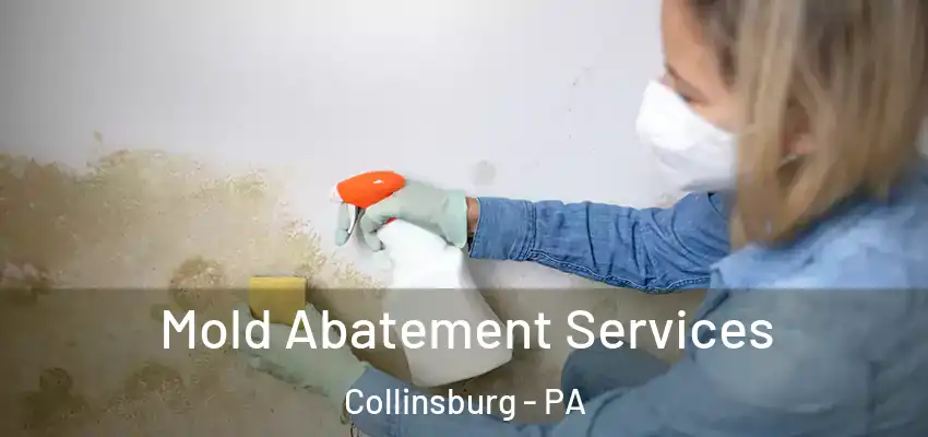  Mold Abatement Services Collinsburg - PA