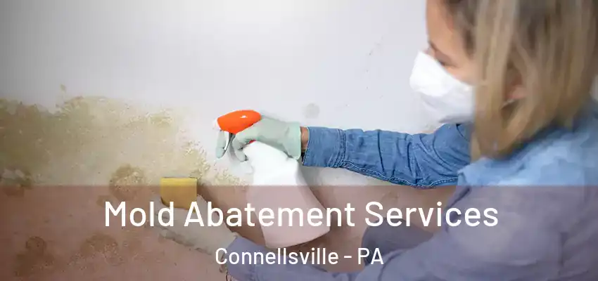  Mold Abatement Services Connellsville - PA