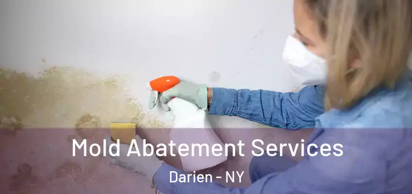  Mold Abatement Services Darien - NY