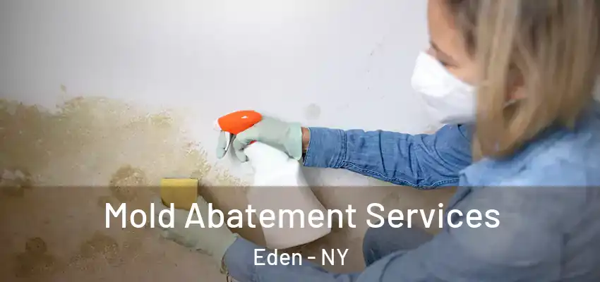  Mold Abatement Services Eden - NY