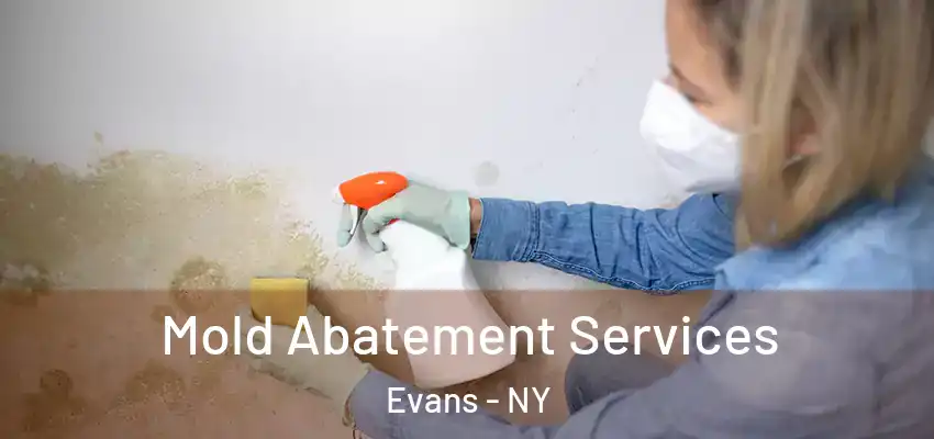  Mold Abatement Services Evans - NY