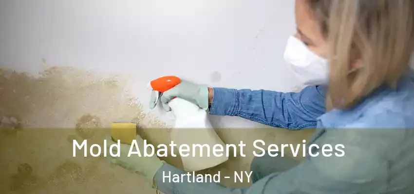  Mold Abatement Services Hartland - NY