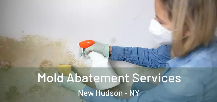  Mold Abatement Services New Hudson - NY