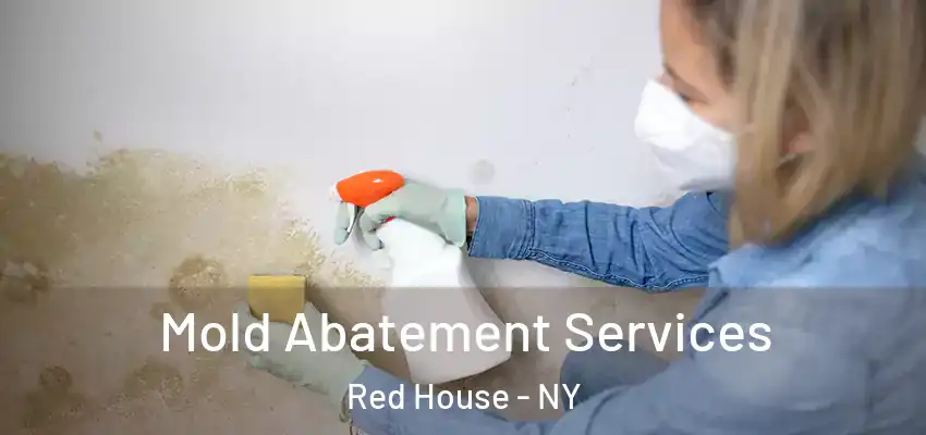  Mold Abatement Services Red House - NY