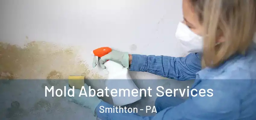  Mold Abatement Services Smithton - PA