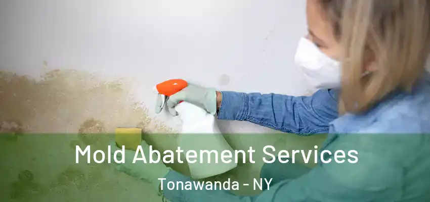  Mold Abatement Services Tonawanda - NY