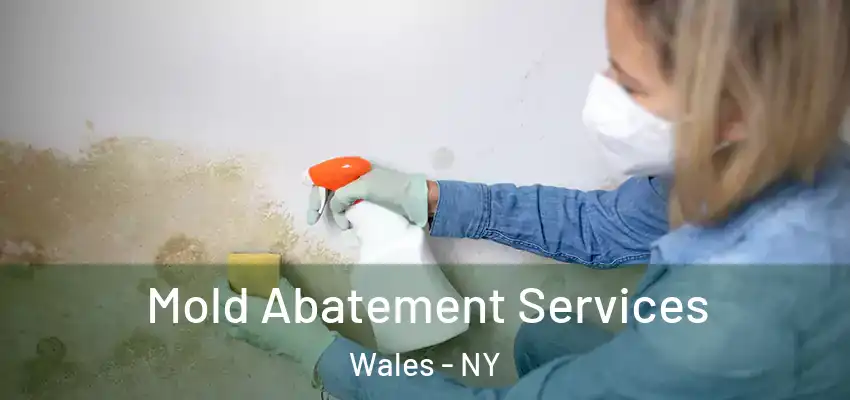  Mold Abatement Services Wales - NY